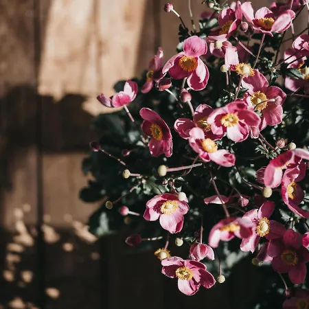 Aparthotel Vaya Terrazena